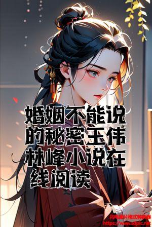 婚姻不能说的秘密王伟林峰小说在线阅读全文免费试读